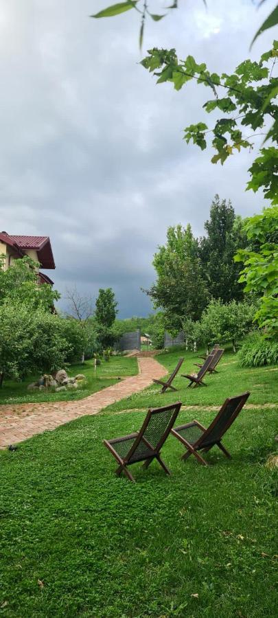 Enpi Lake Resort Ιάσιο Εξωτερικό φωτογραφία
