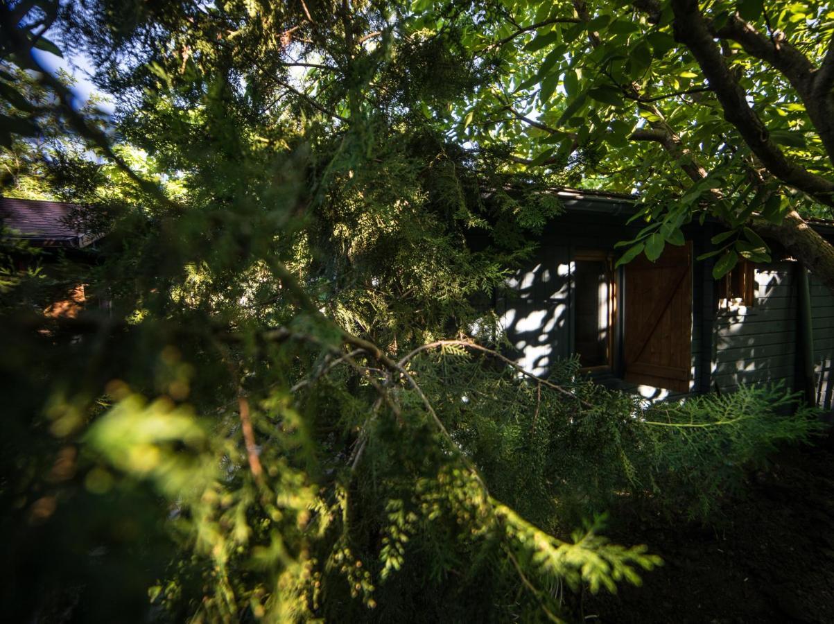 Enpi Lake Resort Ιάσιο Εξωτερικό φωτογραφία
